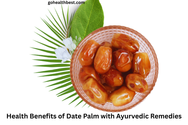 Date Palm