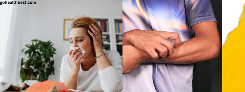 Types of Allergies
