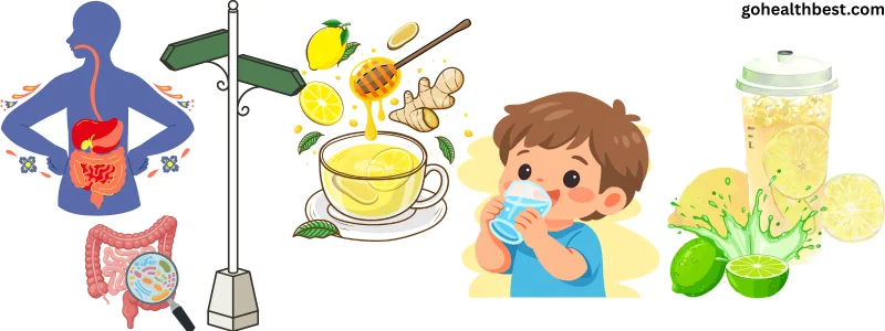 Best morning drink for gut health