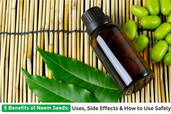 Neem Seeds